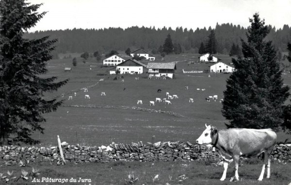 Au Paturage du Jura Vorderseite