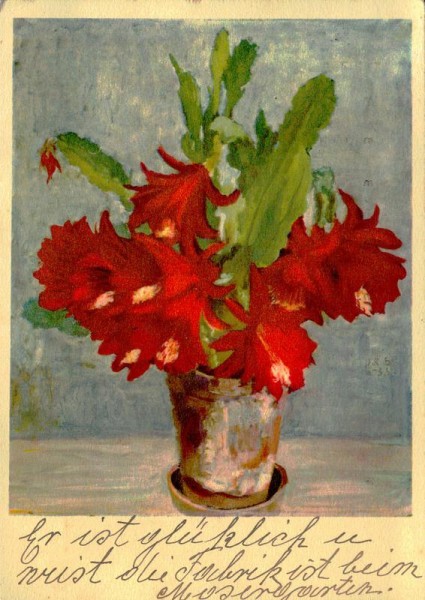 Roter Kaktus Vorderseite