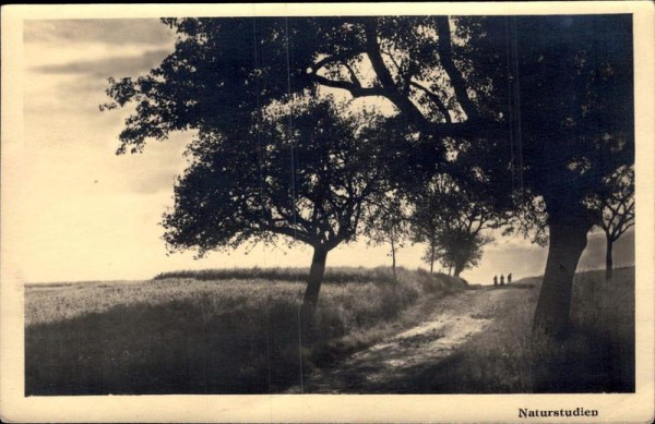 Büsingen am Hochrhein Vorderseite