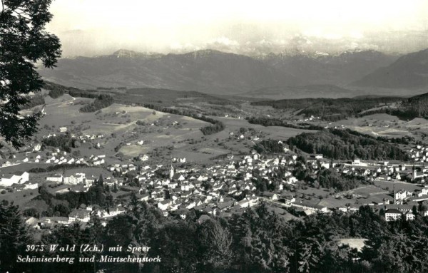 Wald ZH mit Speer Vorderseite