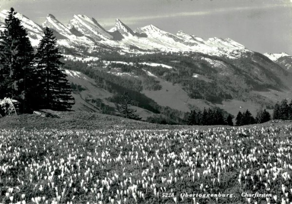 Churfirsten, Obertoggenburg Vorderseite