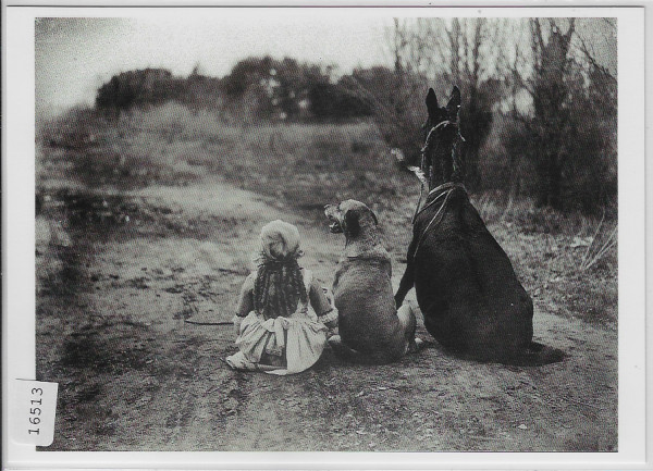 Through The Back Door - J. Pickford & Alfred E. Green - USA 1921