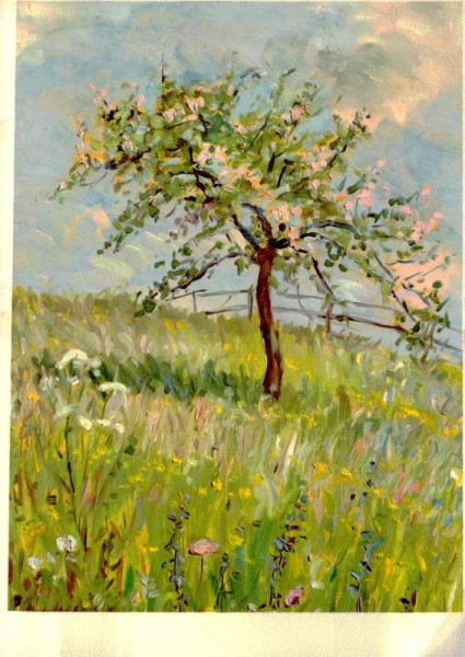 R. Wettstein Illnau: Blühender Baum - Arbre en fleures - Albero in Fiore Vorderseite