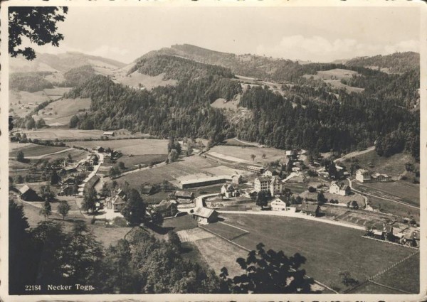 Necker Togg. 1946 Vorderseite