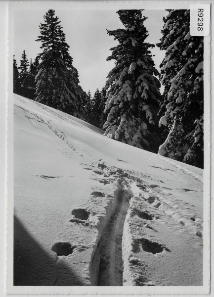Skigebiet Obertoggenburg - Skispur