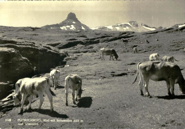 Mad mit Spitzmeilen und Wissmilen, Flumserberg Vorderseite