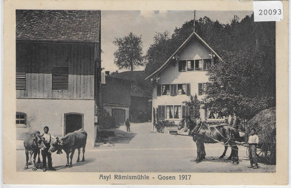 Asyl Rämismühle - Gosen 1917 animee