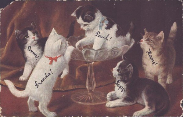 Katzenversammlung Vorderseite