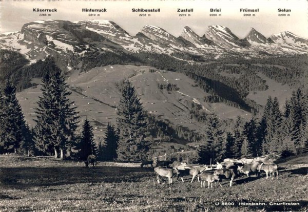 Iltiosbahn. Churfirsten Vorderseite