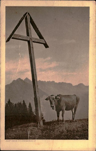 Flumseralp Vorderseite