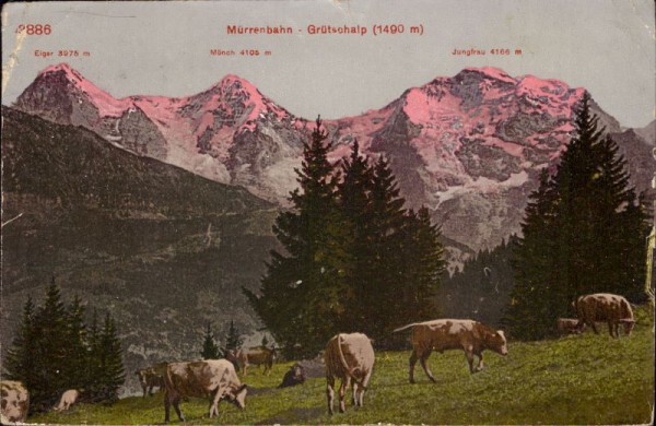 Mürrenbahn, Grütschalp