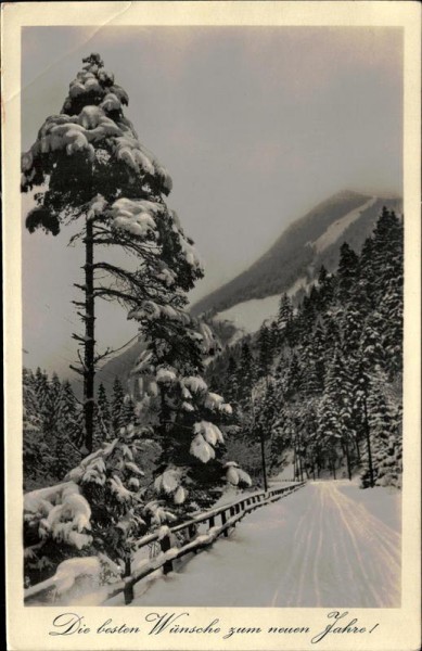 Die besten Wünsche zum neuen Jahre! Vorderseite