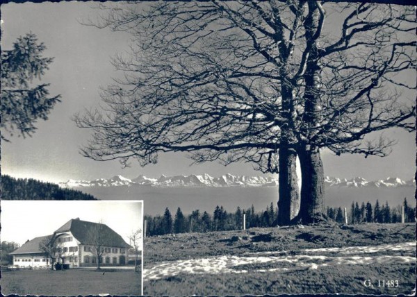Montoz Vorderseite