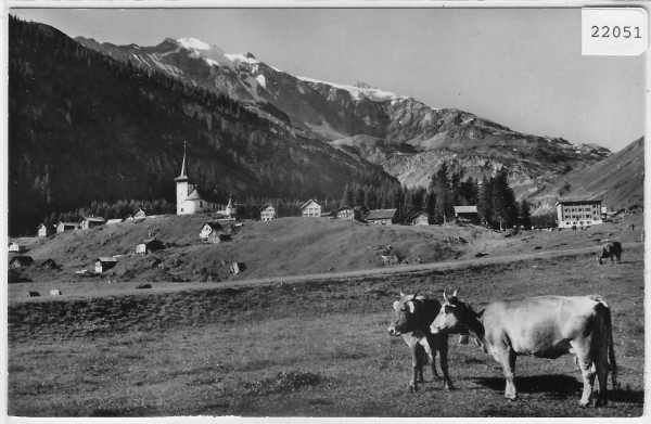 Urnerboden-Klausenstrasse mit Claridenkette - Kühe vaches cows