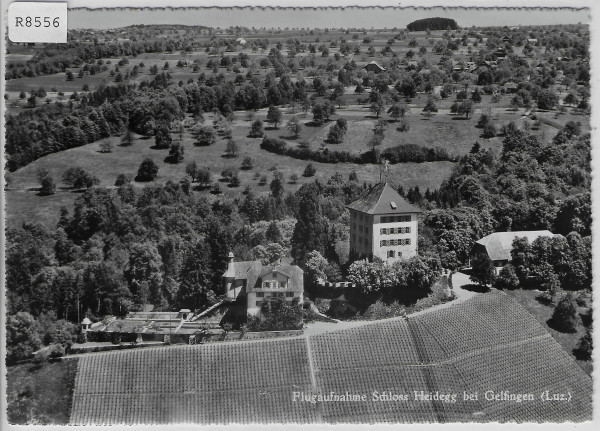 Flugaufnahme Schloss Heidegg bei Gelfingen LU