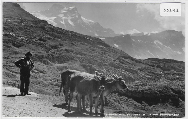 Klausenpass - Blick auf Scheerhorn - Rinder vaches cows