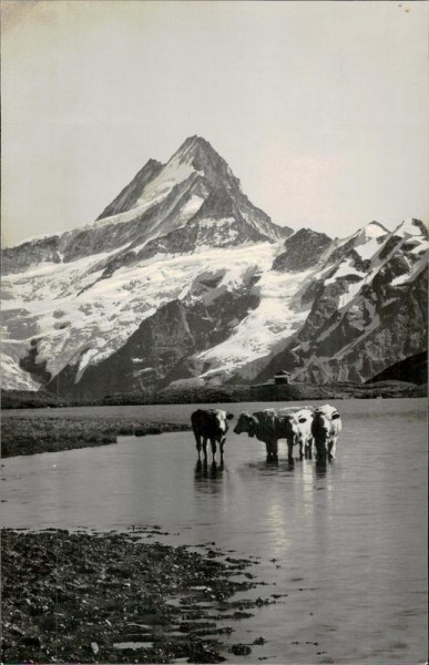 Faulhorn. Bachalpsee Vorderseite