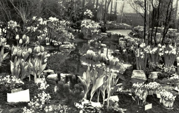 West Friese Flora -Bovenkarspel Vorderseite