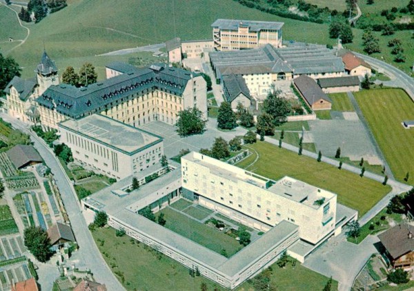 Immensee SZ - Flugaufnahmen Vorderseite