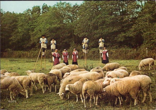 Le Folklore Landais, Le Groupe Lous Paloumayres