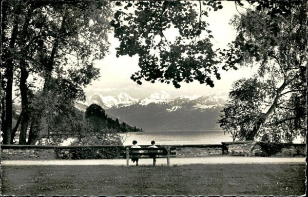 Schadau-Park (Thun) Vorderseite