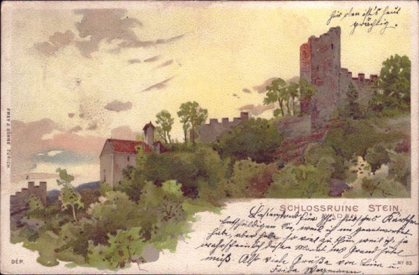 Schlossruine Stein Baden