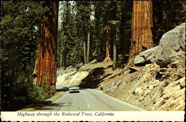 Highway throuth the Redwood Trees California Vorderseite