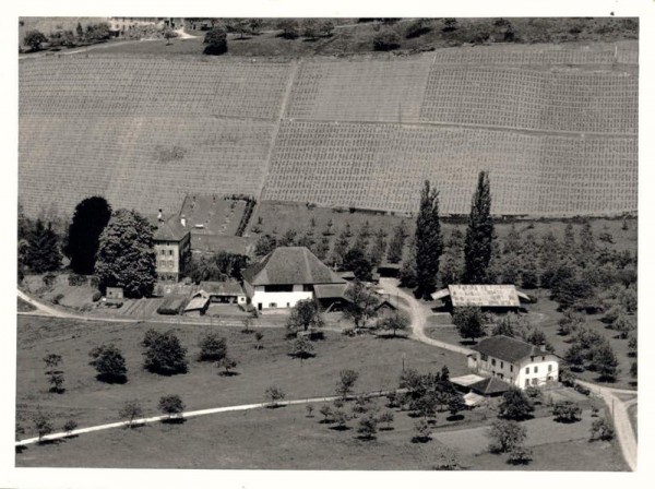 1867 Ollon VD, Route de l'Abbaye 15, Abbaye de Salaz Vorderseite