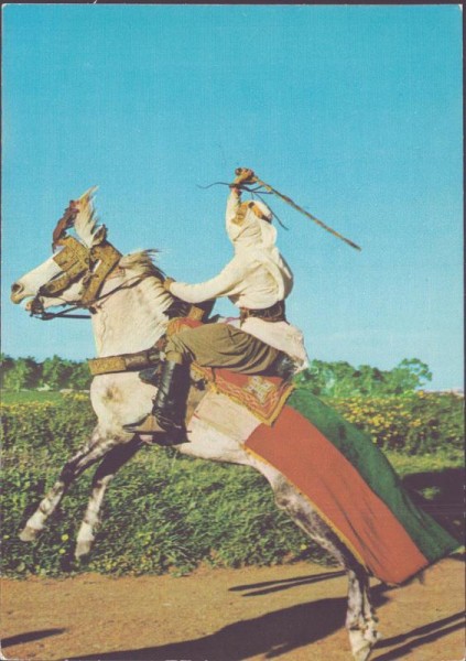 Figure de fantasia - Tunisie Vorderseite