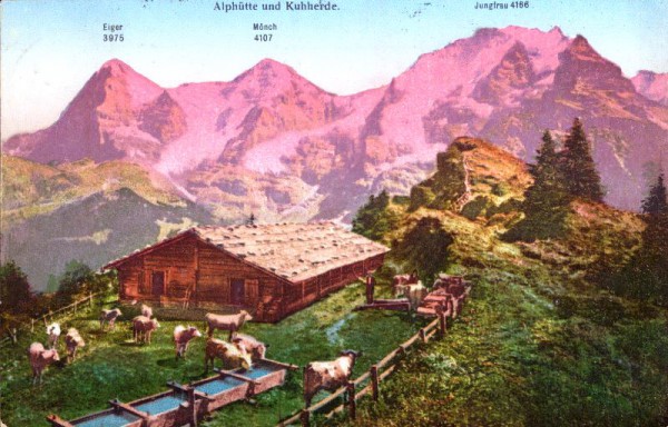 Alphütte und Kuhherde