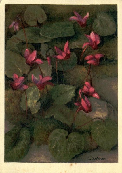 Europäische Erdscheibe Vorderseite