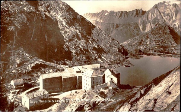 Grosser Sant Bernhard Vorderseite