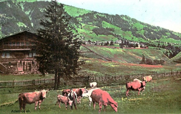 Adelboden Vorderseite