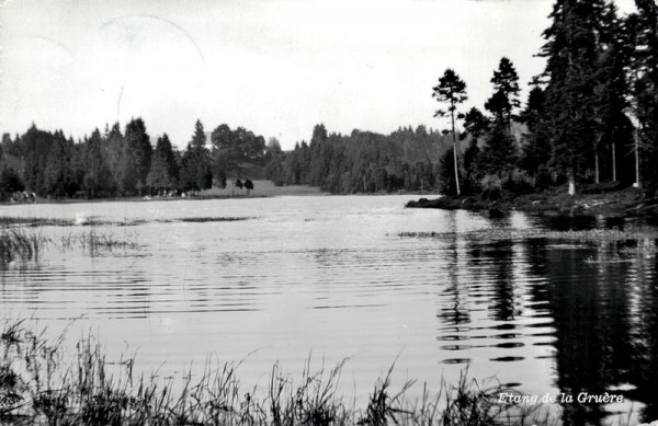 Etang de la Gruère Vorderseite