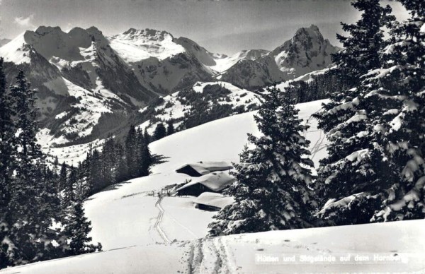 Hütten und Skigelände auf dem Hornberg Vorderseite