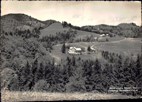 Blick gegen Hörnli von Hulftegg  Vorderseite