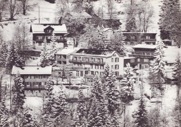 Hotel Alpina Braunwald  -  Flugaufnahmen Vorderseite