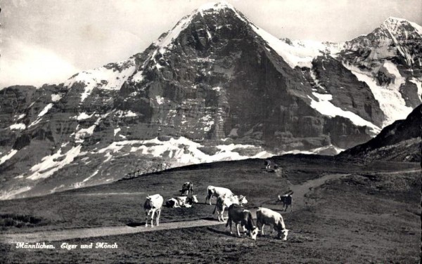 Männlichen. Eiger und Mönch Vorderseite