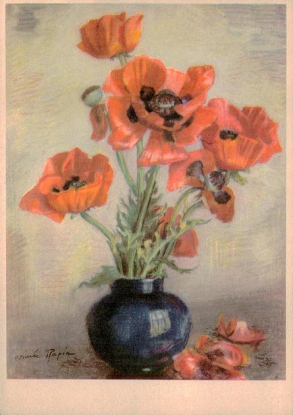 Mohnblume Vorderseite