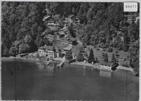 Flugaufnahme Hotel Baumgarten Immensee Fliegeraufnahme O. Wyrsch