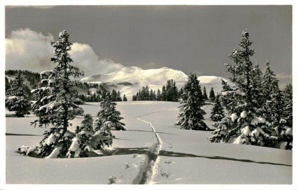 Skitour Prodkamm Vorderseite