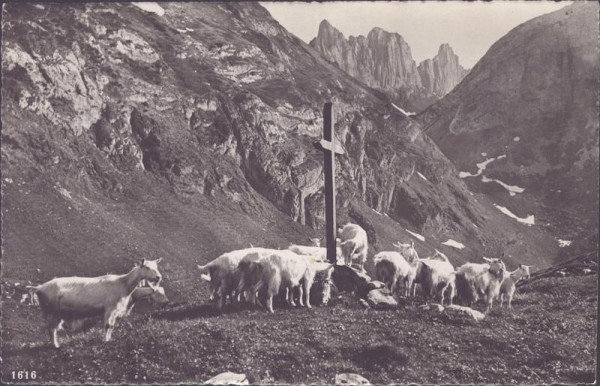 Kreuzberge, Alpstein Vorderseite