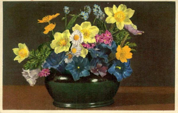 Alpenblumen Vorderseite