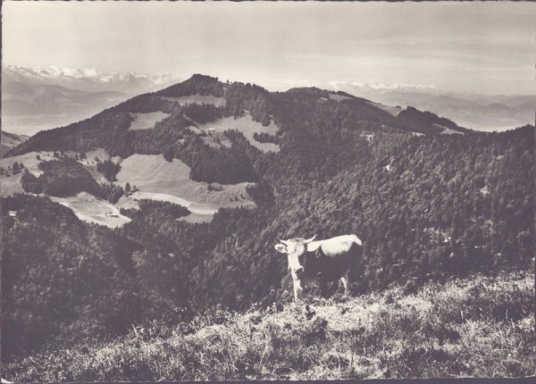 Goldingen, Gasthaus Schindelberg Vorderseite