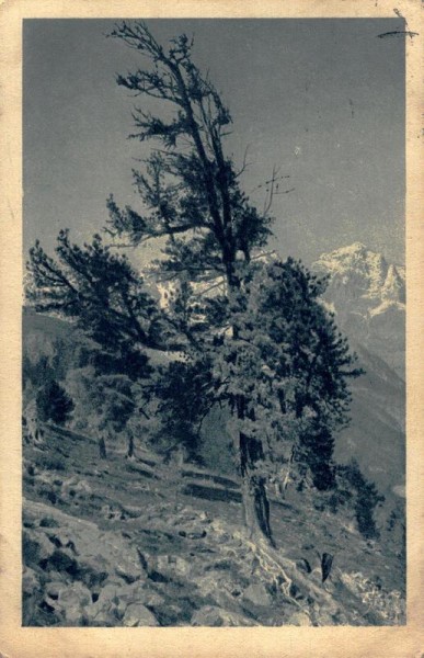 Aus dem Schweizerischer Nationalpark, Scarlgebiet (Schuls-Tarasp) Vorderseite