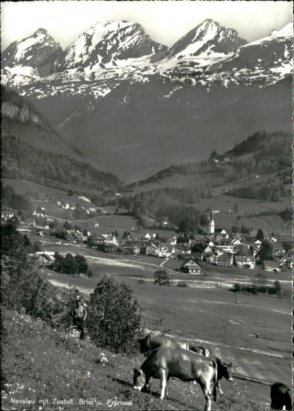 Nessllau Vorderseite