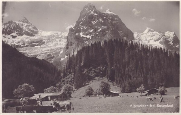 Alpweiden bei Rosenlaui Vorderseite