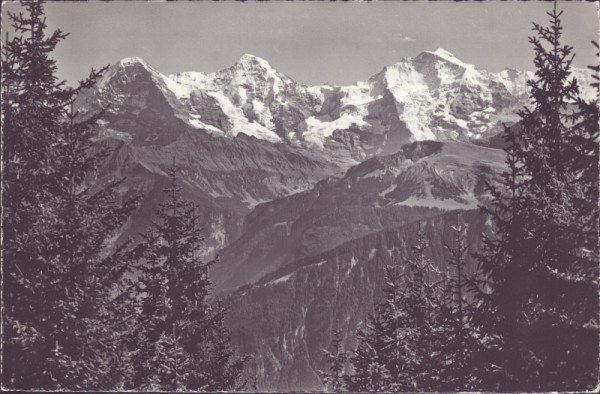 Niederhorn (1950 m)