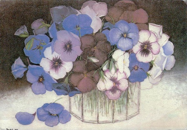 Stiefmütterchen Vorderseite