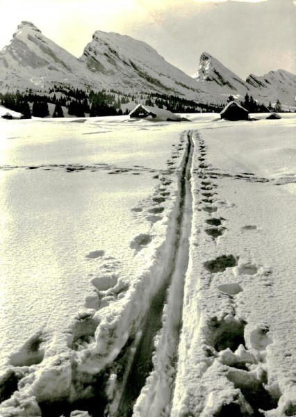 Alp Sellamat mit Churfirsten Vorderseite